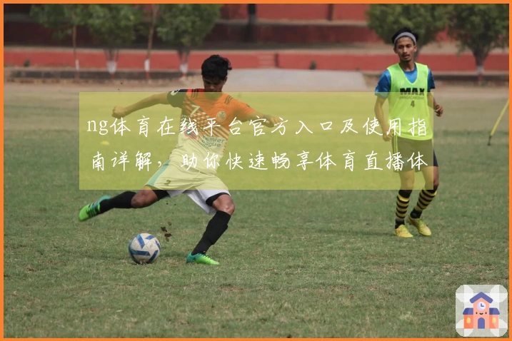 ng体育在线平台官方入口及使用指南详解，助你快速畅享体育直播体验
