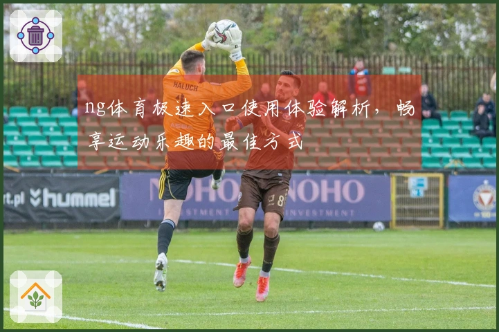 ng体育极速入口使用体验解析，畅享运动乐趣的最佳方式